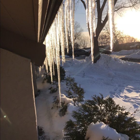 Meet your Posher, Hala - Picture 1 of 1